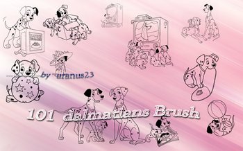 Dalmatian Dog
