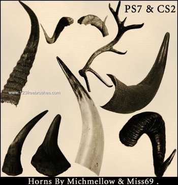 Deer – Buffalo Horns