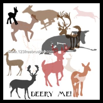 Deer