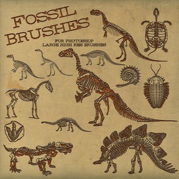 Dinosaur Fossil