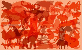 Diversity Of Species