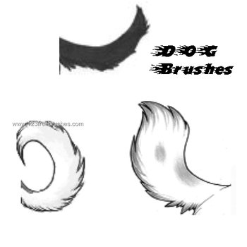 Dog Tail