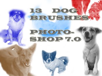 Dogs