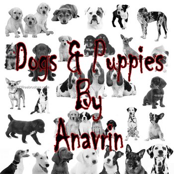 Dogs and Puppies