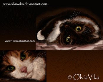 Drawing Fur
