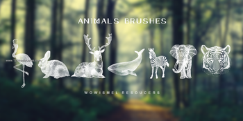 Elephant – Tiger – Zebra – Deer – Rabbit – Crane