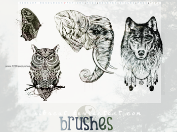 Elephant – Wolf – Owl – Butterfly