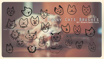 Funny Cats