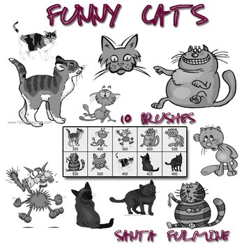 Funny Cats