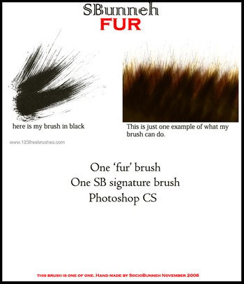 Fur