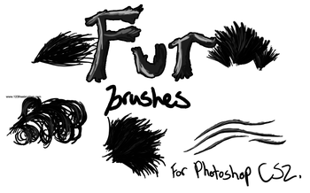 Fur