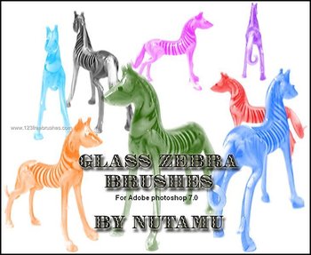 Glass Zebra