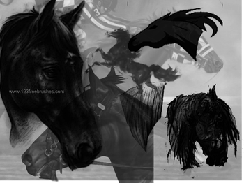 Horse