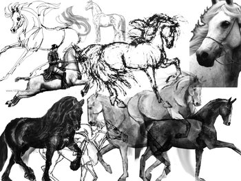 Horse