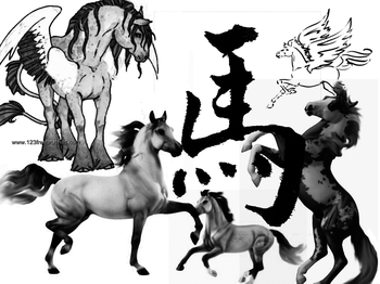 Horse