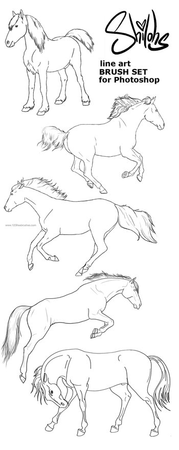 Horse Line Art