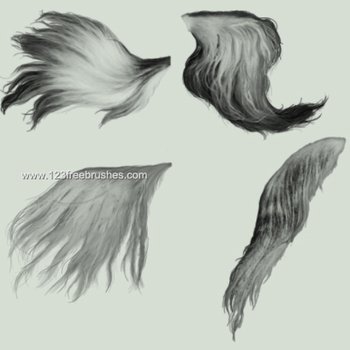Horse Tail