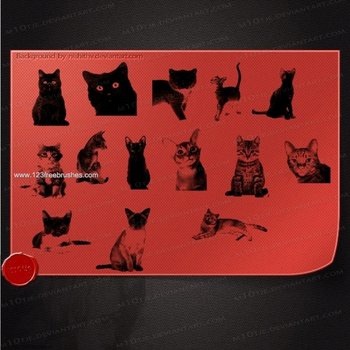Kitten Silhouettes