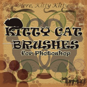 Kitty Cat
