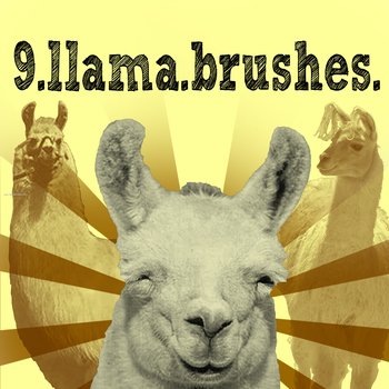 Llama