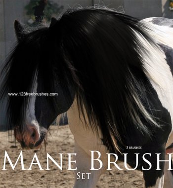 Mane