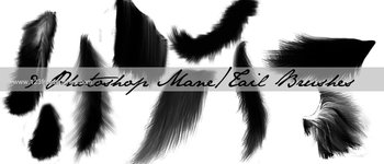 Mane and Tail