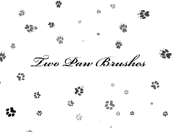 Paw