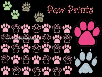 Paw Print