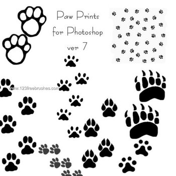 Paw Print