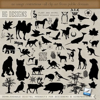 Plants and Animals
