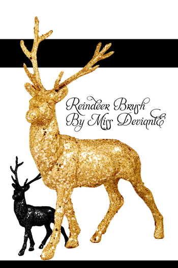 Reindeer