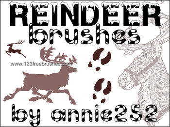 Reindeer