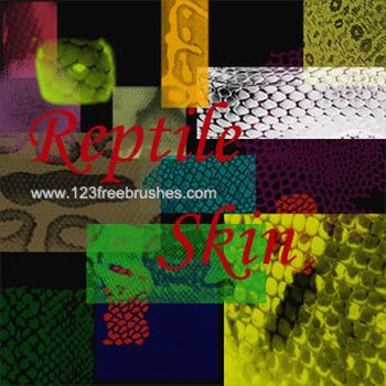 Reptile Skin