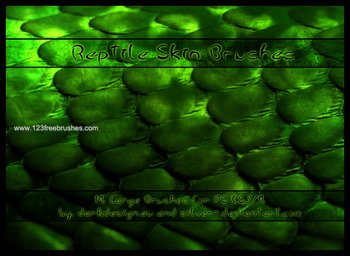 Reptile Skin