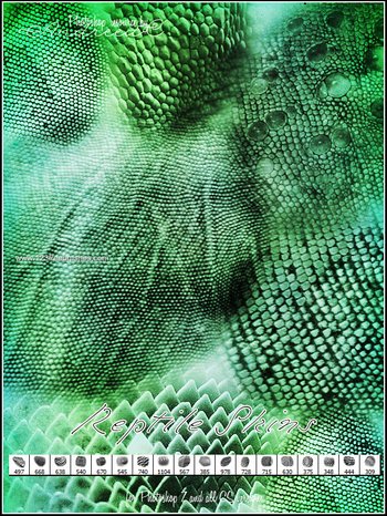 Reptile Skin