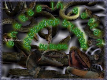 Snake