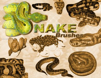 Snake