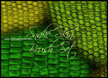 Snake Skin