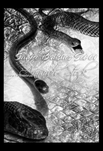 Snakes