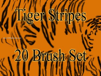 Tiger Stripes