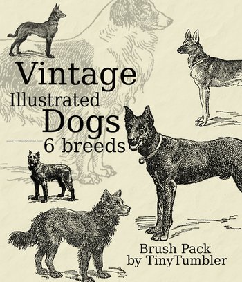 Vintage Dogs