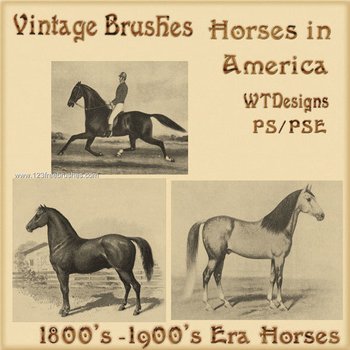 Vintage Horses