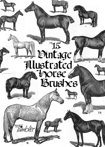 Vintage Horses