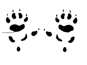 Werewolf Paw Print