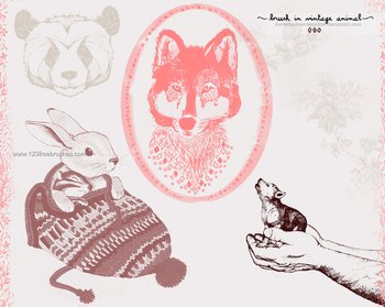 Wolf – Rabbit – Panda Bear