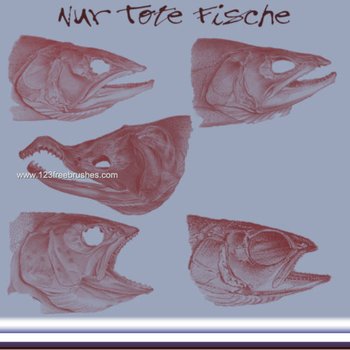 Dead Fish