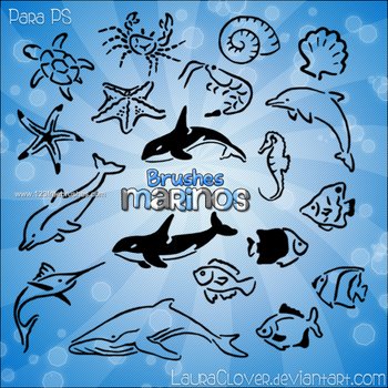 Dolphin Fish – Starfish – Seahorse – Turtle