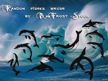 Dolphin Silhouettes