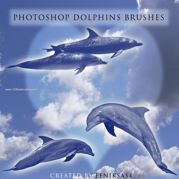 Dolphins