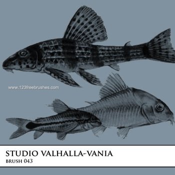 Fish